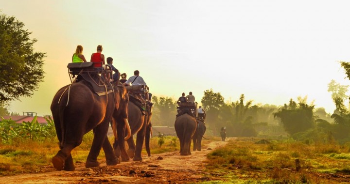 Samui Safari Half Day…